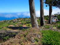 madeira 0141 : Portugal, PRT