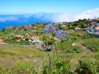 madeira 0142 : Portugal, PRT