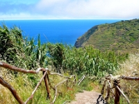madeira 0145 : Portugal, PRT