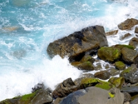 madeira 0149 : Portugal, PRT