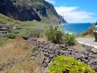 madeira 0153 : Portugal, PRT