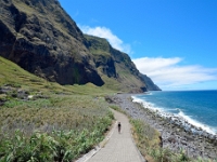 madeira 0155 : Portugal, PRT