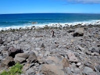 madeira 0157 : Portugal, PRT