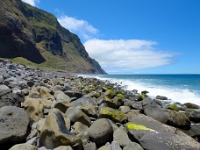 madeira 0160 : Portugal, PRT