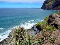 madeira 0164 : Portugal, PRT
