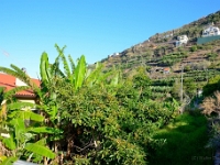 madeira 0761 : Portugal, PRT