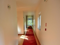 madeira 1155 : Portugal, PRT