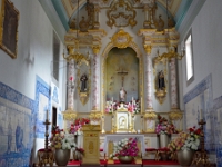 madeira 0357 : Portugal, PRT
