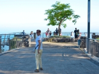 madeira 0459 : Portugal, PRT