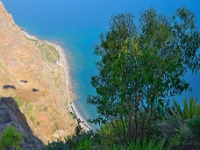 madeira 0465 : Portugal, PRT