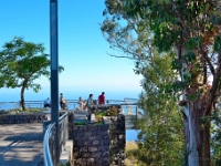 madeira 0468 : Portugal, PRT