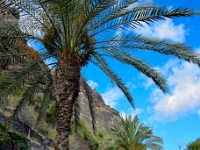 madeira 0005 : Portugal, PRT