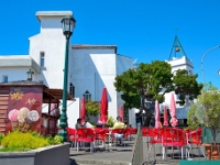 madeira 0484 : Portugal, PRT