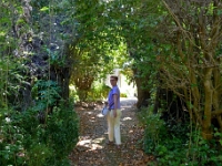 madeira 0498 : Portugal, PRT