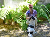 madeira 0503 : Portugal, PRT