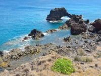 madeira 0440 : Portugal, PRT