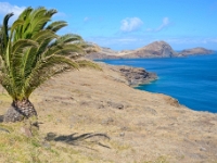 madeira 0443 : Portugal, PRT