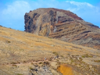 madeira 0444 : Portugal, PRT