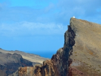 madeira 0454 : Portugal, PRT