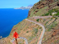 madeira 1160 : Portugal, PRT