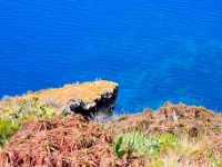 madeira 1177 : Portugal, PRT