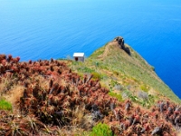 madeira 1178 : Portugal, PRT