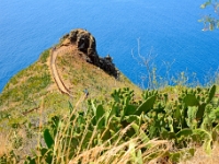 madeira 1181 : Portugal, PRT
