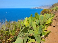 madeira 1182 : Portugal, PRT