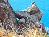 madeira 1188 : Portugal, PRT