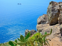 madeira 1191 : Portugal, PRT