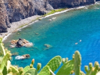 madeira 1195 : Portugal, PRT