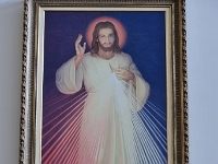 madeira 1228 : Portugal, PRT