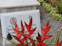 madeira 1234 : Portugal, PRT