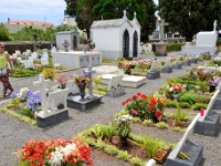 madeira 1237 : Portugal, PRT