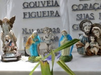 madeira 1238 : Portugal, PRT