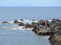 madeira 1246 : Portugal, PRT
