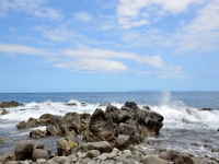madeira 1248 : Portugal, PRT