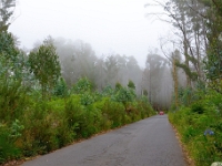 madeira 0621 : Portugal, PRT