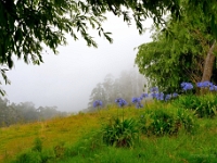 madeira 0623 : Portugal, PRT