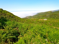 madeira 0628 : Portugal, PRT