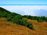 madeira 0635 : Portugal, PRT