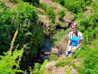 madeira 0637 : Portugal, PRT