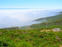 madeira 0638 : Portugal, PRT