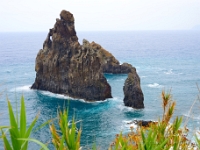 madeira 0654 : Portugal, PRT