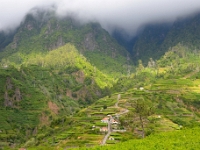 madeira 0364 : Portugal, PRT