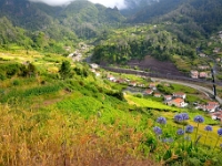 madeira 0366 : Portugal, PRT