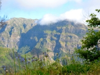 madeira 0372 : Portugal, PRT