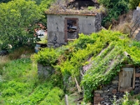 madeira 0665 : Portugal, PRT