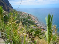 madeira 0041 : Portugal, PRT