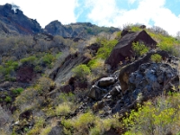 madeira 0049 : Portugal, PRT